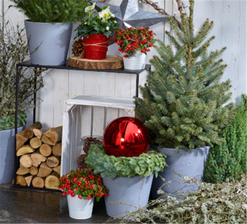 Reparatur Aufrichtigkeit Kommentar weihnachtsdeko vor tür Tastsinn