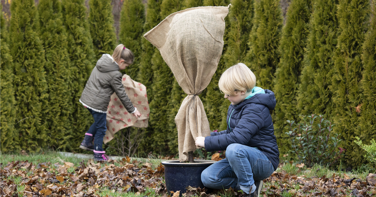 49+ Gartenarbeit Im November, In meinem gartenblog nehme ich dich mit