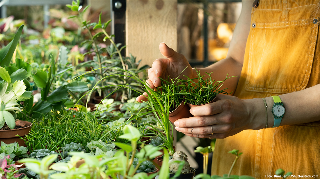 Gartencenter Nickl Wir leben Garten!