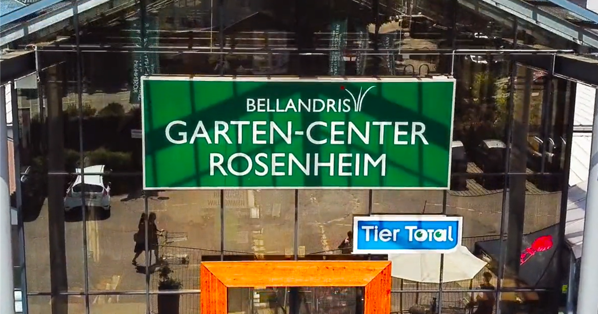 Rosenheim Sommerblumen Gartencenter Nickl