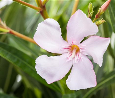 Terrasse & Balkon im Oktober