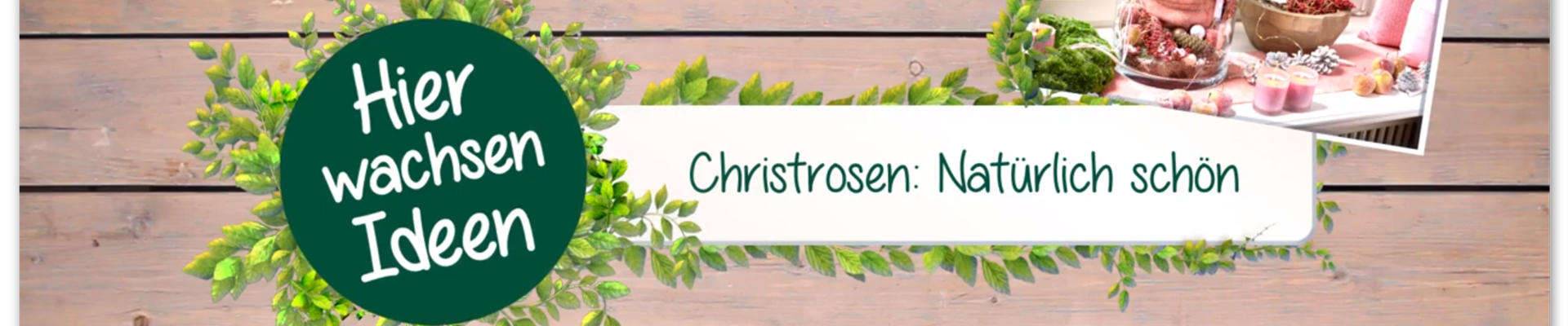 Ashampoo_Snap_Dienstag, 31. März 2020_13h50m23s_025_.png