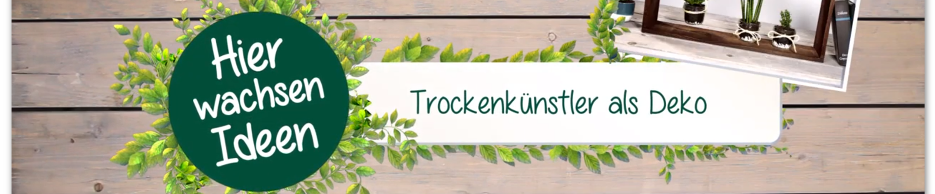 Ashampoo_Snap_Dienstag, 31. März 2020_14h27m48s_029_.png Ashampoo_Snap_Dienstag, 31. März 2020_14h27m48s_029_.png