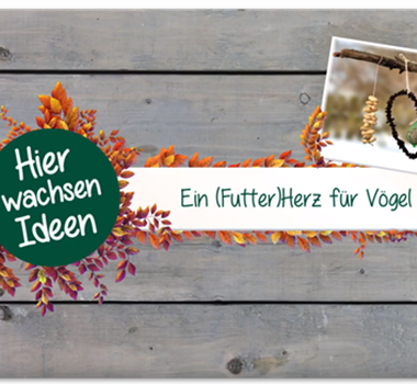 Ein (Futter)Herz für Vögel