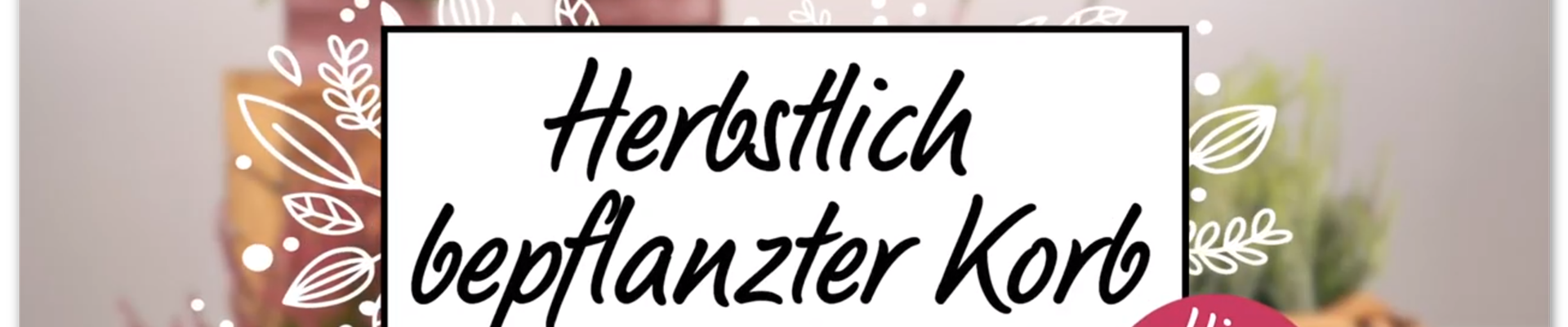 Ashampoo_Snap_Dienstag, 31. März 2020_12h24m14s_016_.png