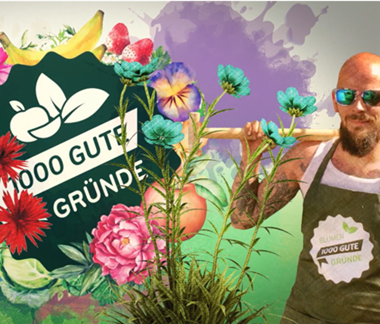 Amaryllis, oder was ihr zum Ritterstern wissen müsst