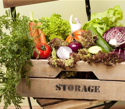 Gemüse und Obst haltbar lagern