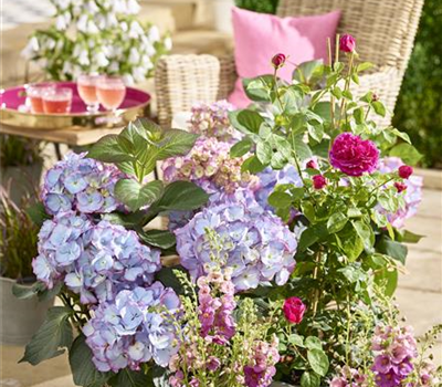 Terrasse & Balkon im Juni