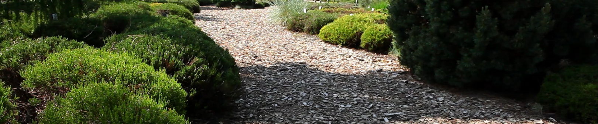 Mulch - Einsatz im Garten (5).jpg