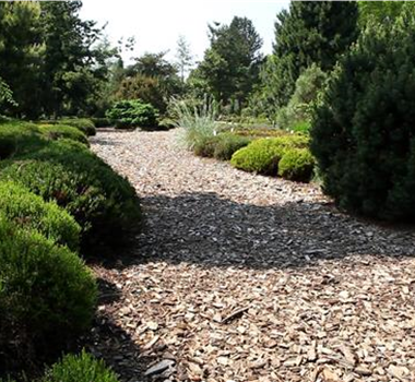 Allgemeine Gartenarbeit im Juli