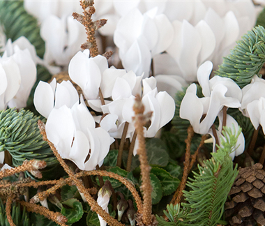 Florale Geschenkideen