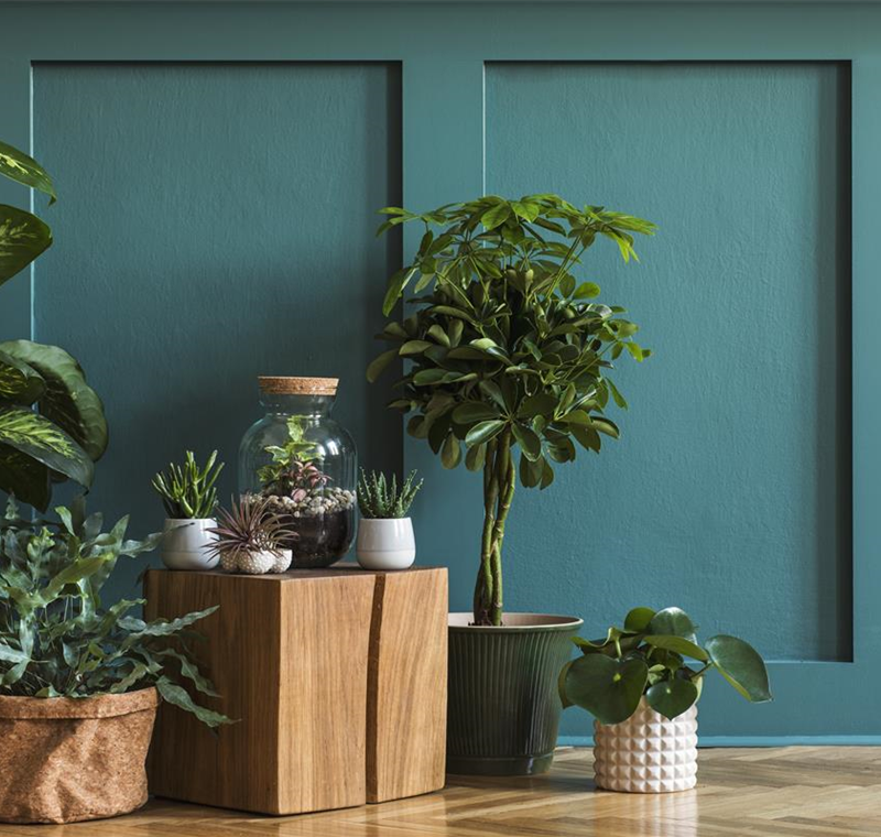 Begrünungsservice  Begrünungsservice