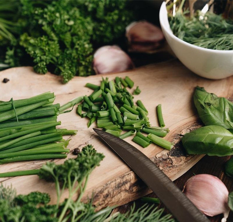 Kräuter & Gemüsepflanzen Kräuter & Gemüsepflanzen