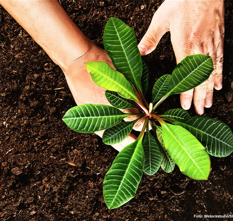 Erde & Samen Erde & Samen