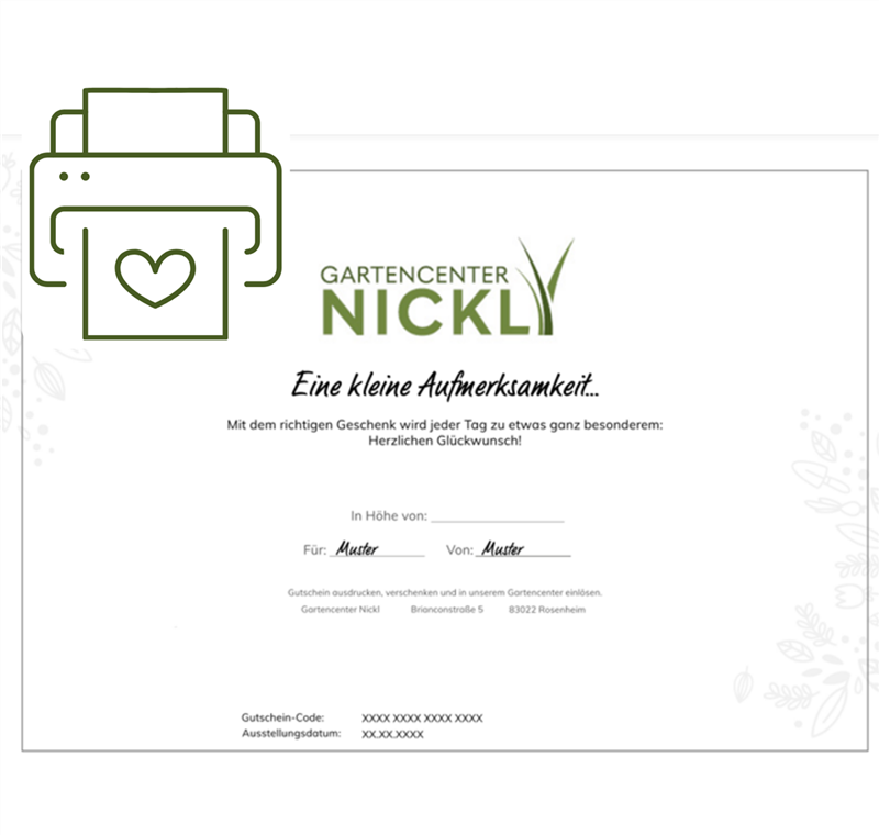 Individueller Gutschein Individueller Gutschein