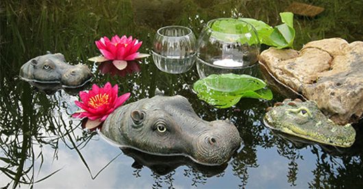 Gartenteich_Teich_Schwimmtiere_klein