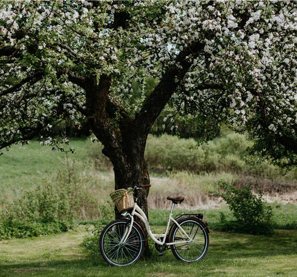 Jobrad-Leasing Jobrad-Leasing