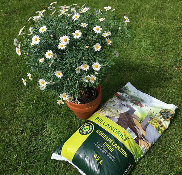 csm_Kuebelpflanzenerde_9db3470b81