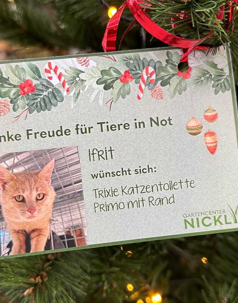 Wunschbaum Gartencenter Nickl.jpg