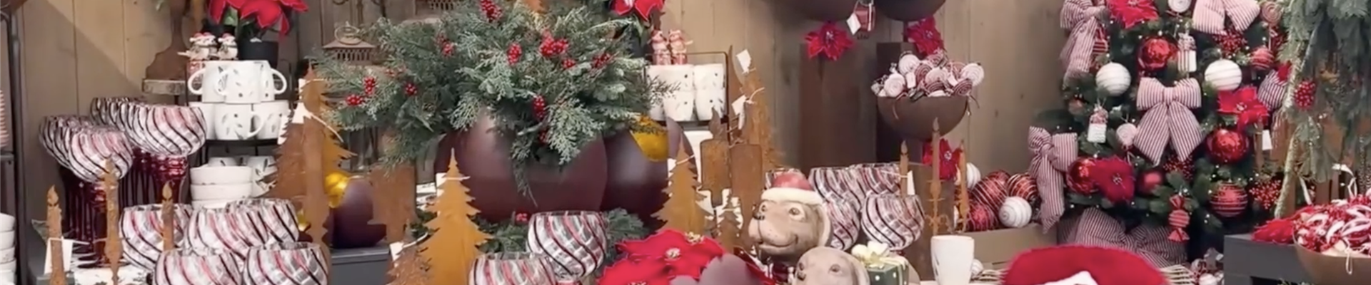 Bildschirmfoto 2025-11-06 um 11.37.22.png