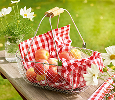 Gemüse-, Kräuter- und Obstgarten im September