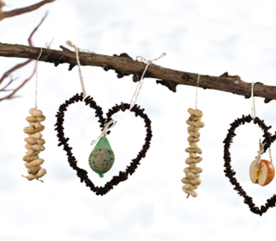 Ein (Futter)Herz für Vögel